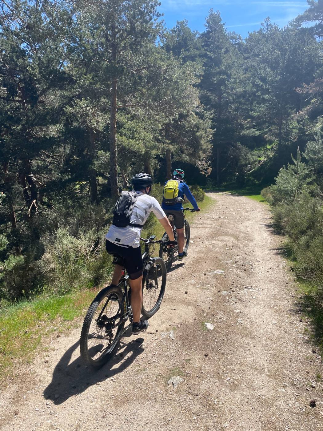 Fietsen